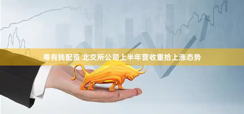 粤有钱配资 北交所公司上半年营收重拾上涨态势