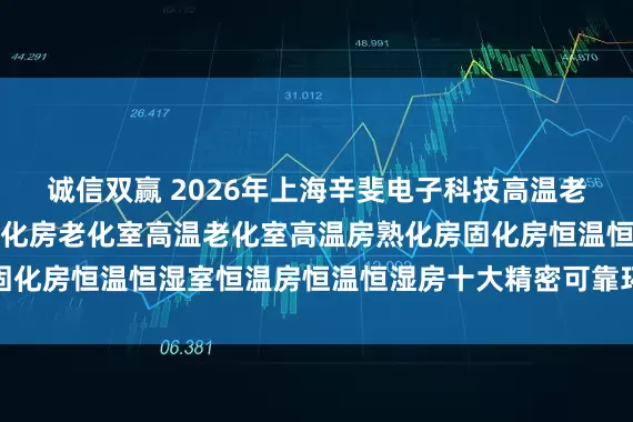 诚信双赢 2026年上海辛斐电子科技高温老化房权威推荐:高温老化房老化室高温老化室高温房熟化房固化房恒温恒湿室恒温房恒温恒湿房十大精密可靠环境测试设备